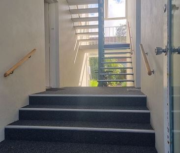 FULLY RENOVATED 3brm STUNNER IN EPSOM, DGZ, UNI - Photo 5