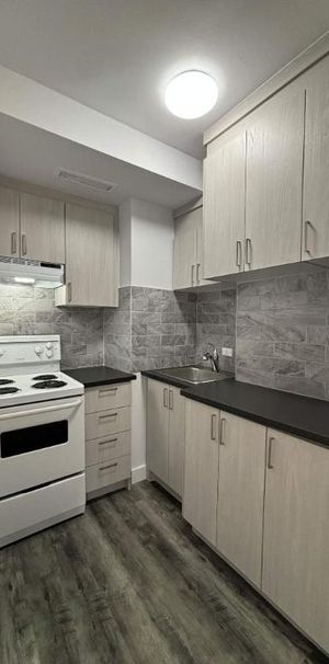 1 CH - 1 SDB - Montréal - $1,560 /mo - Photo 1