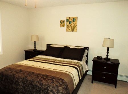 413, 60 Lawford Ave *furnished* - Photo 5