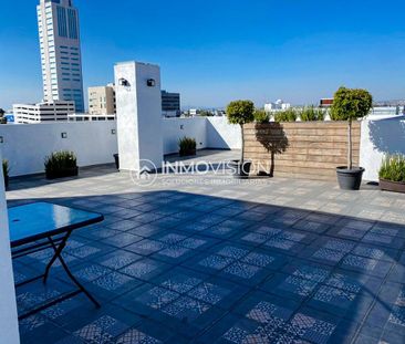 Penthouse en Renta, La Paz, Frente a Colegio Americano - Photo 6