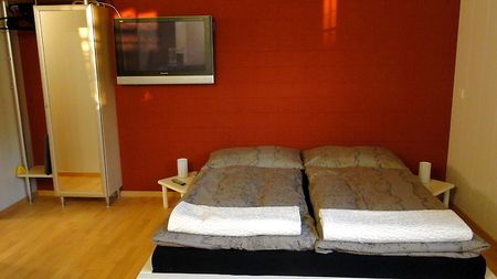 1 Zimmer-Wohnung in Obergösgen (SO), möbliert - Foto 3