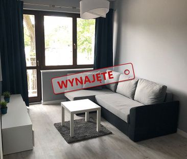 Do wynajęcia 2 pokojowe mieszkanie Nowe Forty - Photo 1