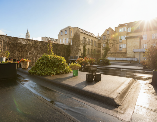 Lys og rummelig lejlighed i hjertet af Aalborg - Photo 1