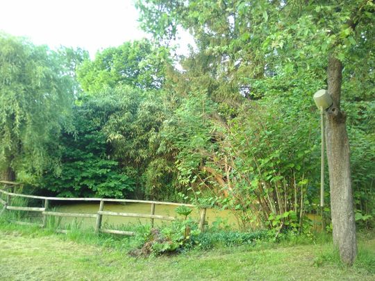 Cozy Chalet stijl hoeve op 1,5 hectare bos + weiland - Photo 1