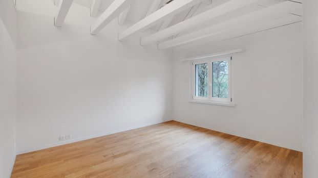 3.5 Zimmer - Photo 1