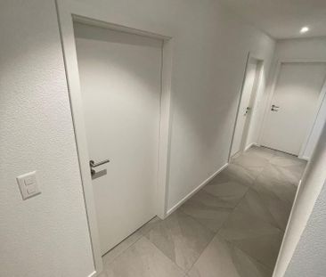 3.5 Zimmer, EG - Photo 5