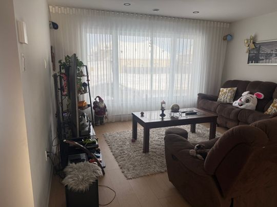 Appartement à louer - Sainte-Marthe-sur-le-Lac (Nord) - Photo 1