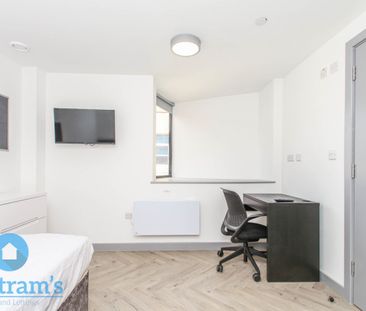 5 bed Apartment for Rent - Photo 4