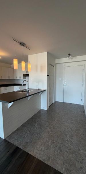 2 CH - 1 SDB - Lévis - $1,250 /mo - Photo 1