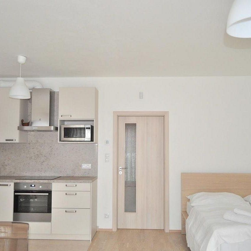 Pronájem bytu 1+kk 40 m² - Photo 1