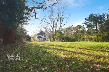 3 bedroom detached house to rent - Photo 4