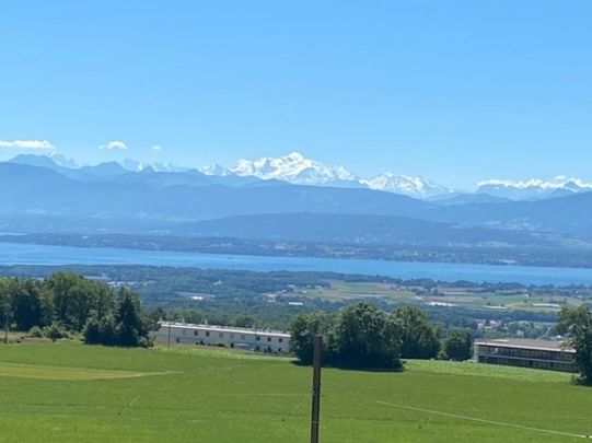 Belle villa jumelle de 5.5 pièces avec vue imprenable sur le lac Léman et le Mont-Blanc - Foto 1