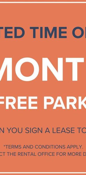 1 Bedroom Available At 5460 Sunnybrooke Avenue, Côte Saint-Luc - 5460 Sunnybrooke Avenue, Côte-Saint-Luc - Photo 1