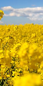 Bruksparken 9 - Photo 3