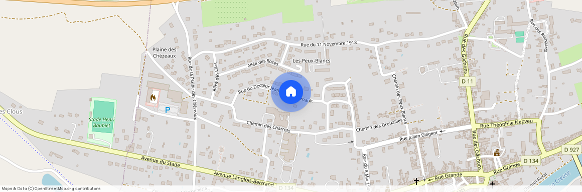 12 RUE DU DOCTEUR JEAN-JACQUES RENAULT, LES CHARROTS, 36800 SAINT-GAULTIER