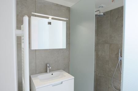 Gerenoveerd 1-slaapkamerappartement - Leuven - Photo 5