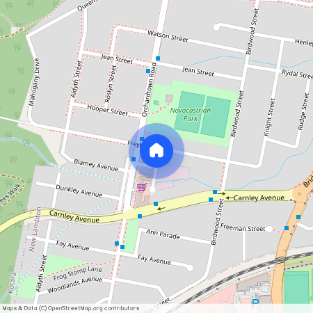 39 Freyberg Street, New Lambton NSW 2305