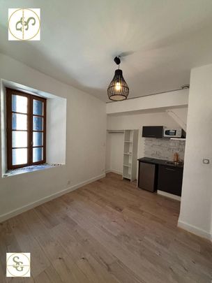 Location Appartement 1 pièce 17m² GAILLAC 81600 - Photo 1