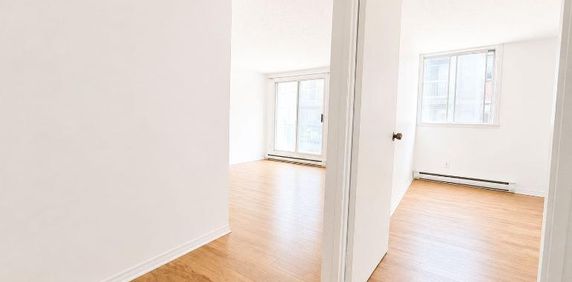 1 CH - 1 SDB - Montréal - $1,250 /mo - Photo 2