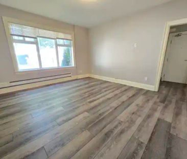 SPACIOUS ONE bedroom unit available for NOV 1st on the MAIN FLOOR!!... - Photo 1