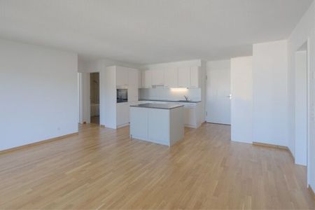 Search. Find. LIVE - Photo 3