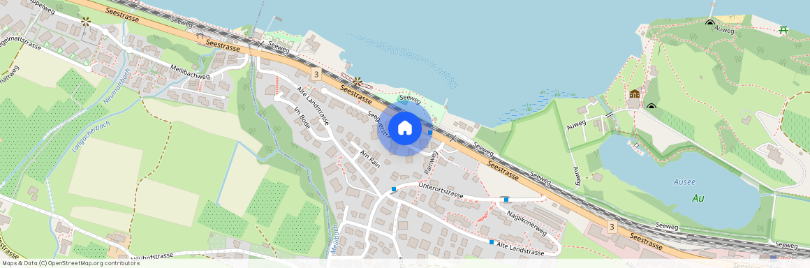 Seeguetstrasse 6, 8804, Au-Wädenswil