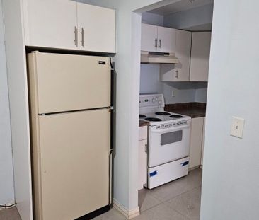 Ground Level Suite - Photo 4