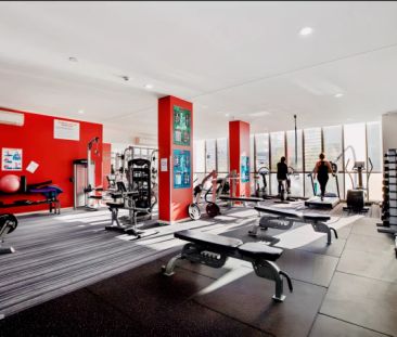 3 Defries Ave, Sydney - Photo 4