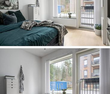 Gaffelseglet, Vega - Photo 2