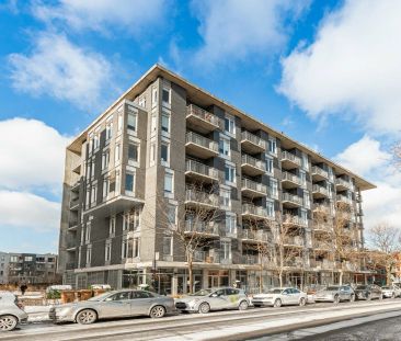 245 Rue Maguire, app.502, Le Plateau-Mont-Royal (Montréal) - Photo 3