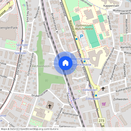 Birseckstrasse 50, 4142 Münchenstein