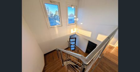 6 Kilpara Court, Mornington, Vic 3931 - Photo 4