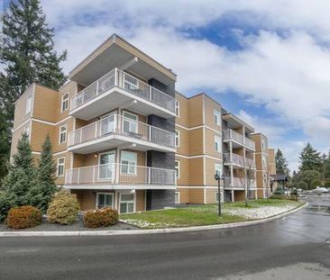 2 Bedroom 2 bath large first floor Apartment North Nanaimo - Photo 1