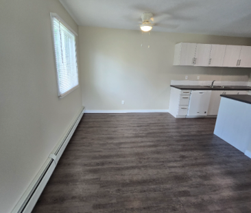 Modern Two Bedroom Unit on the North End - Photo 4