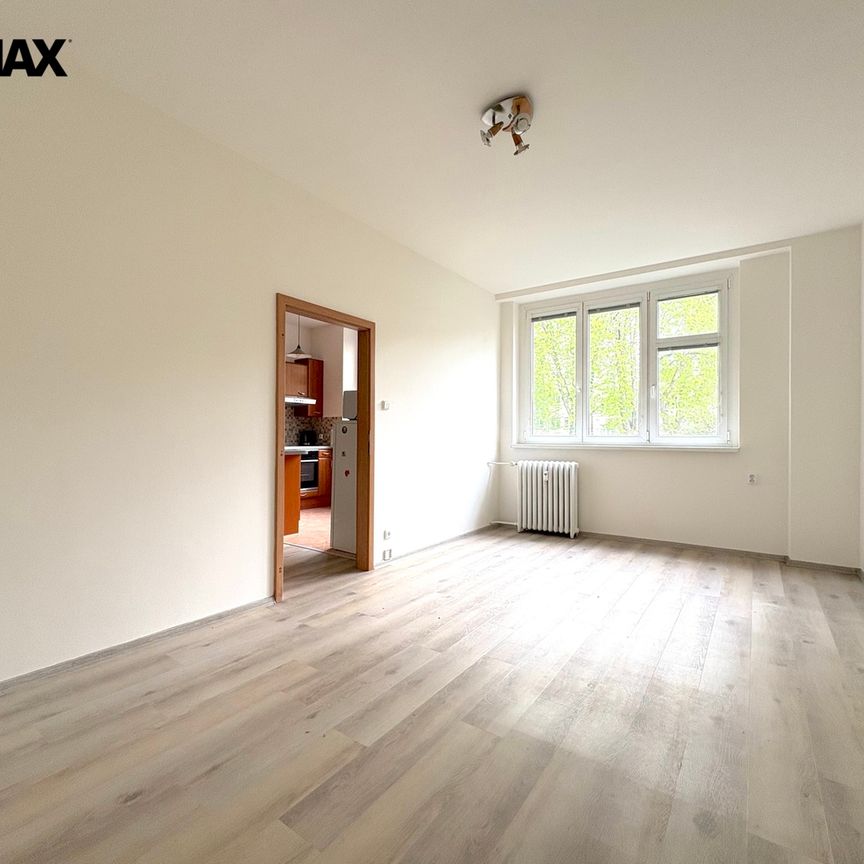 Pronájem bytu 2+kk v osobním vlastnictví 41 m², Praha 3 - Vinohrady - Фото 1