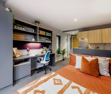 Classic Studio - Photo 4