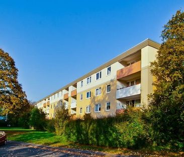 Hier macht wohnen Spaß: günstige 3-Zimmer-Wohnung - Foto 3