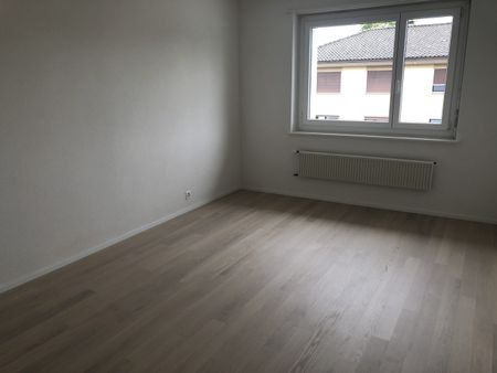 Mouson 1, Marin - Photo 3