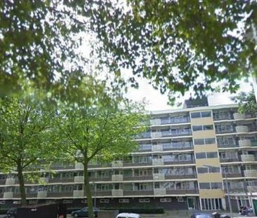 Erasmuslaan 1216 LT Hilversum - Foto 4