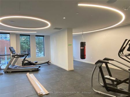 For Lease - 219 Dundas Street Unit# Ph101, Toronto, Ontario - Photo 3