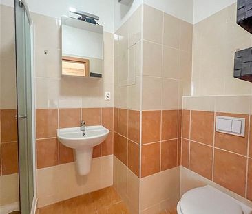 Pronájem bytu 1+kk 60 m² - Fotografie 4