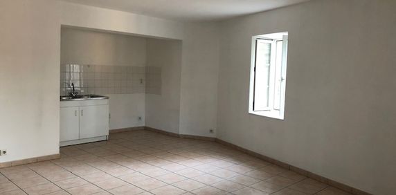 APPARTEMENT A LOUER VIVIERS 2 PIECES 49 M² - Photo 2