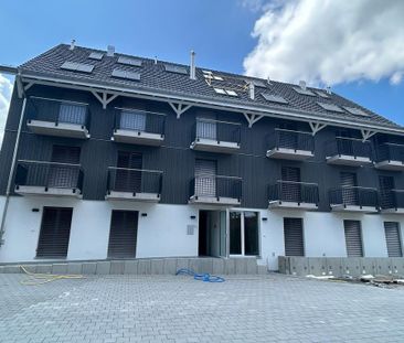 1 Zimmer, 20 m² - Photo 3