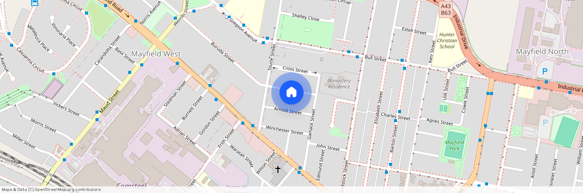 12 Abel Street, 2304, Mayfield, Nsw