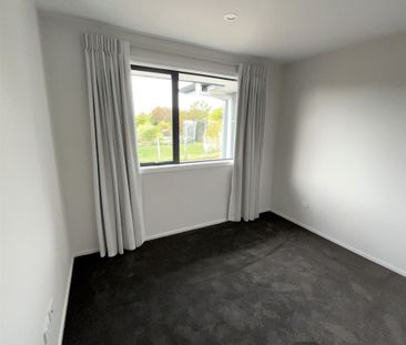 29a Elizabeth Street, Richmond, Nelson - Photo 3