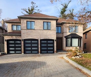 For Lease - 97 Luba Avenue Unit# Bsmt #A, Richmond Hill, Ontario - Photo 3