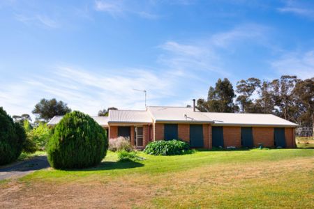 2 Burgess Court, Newstead - Photo 4