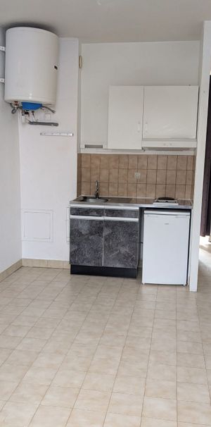 Location Appartement 2 pièces 30m² GRENOBLE 38000 - Photo 1