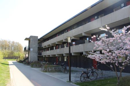 Vildandsvägen 16 C - Foto 3