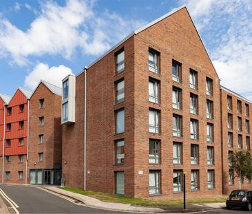 1 bedroom in a flat share to rent - Photo 3